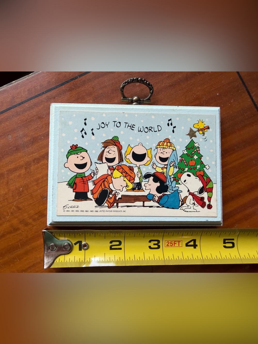 Title Peanuts Charlie Brown cartoon wall plaque